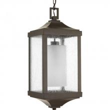 Progress P550003-020 - Devereux Collection One-Light Hanging Lantern